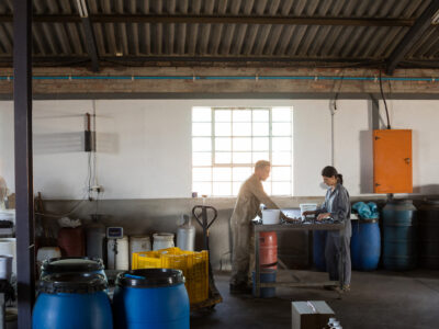 A importância crítica de uma empresa de descarte de resíduos químicos na proteção ambiental brasileira