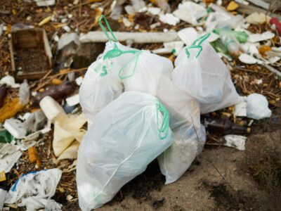 Compostagem de resíduos orgânicos: como transformar sobras de alimento em adubo