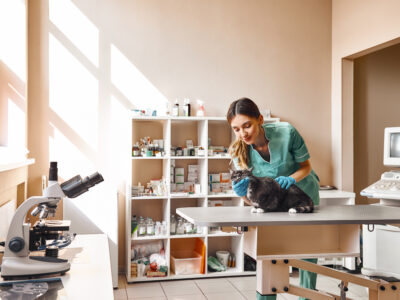 Resíduos de serviços veterinários: como clínicas e pet shops devem gerenciar o descarte