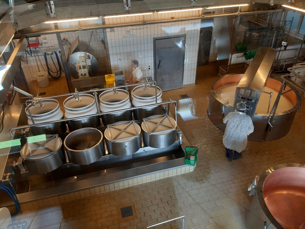 Linha de produção industrial de queijo em planta de fabricação