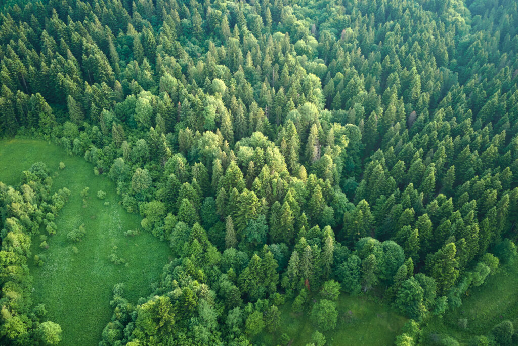 Créditos de Carbono VCM para Indústria Brasileira 2026