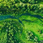 TNFD: divulgação de natureza e biodiversidade industrial brasileira