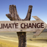 SBTi: metas climáticas baseadas em ciência para a indústria