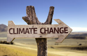SBTi: metas climáticas baseadas em ciência para a indústria
