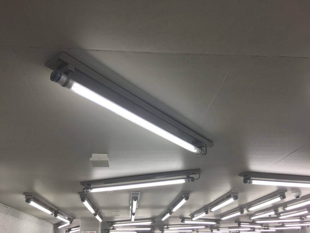 Lâmpada fluorescente com mercúrio: coleta rastreada
