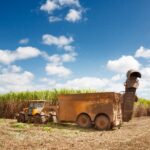 Fosfogesso: Indústria Fertilizante Fosfato BR e Rotas Seven