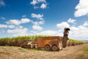 Fosfogesso: Indústria Fertilizante Fosfato BR e Rotas Seven