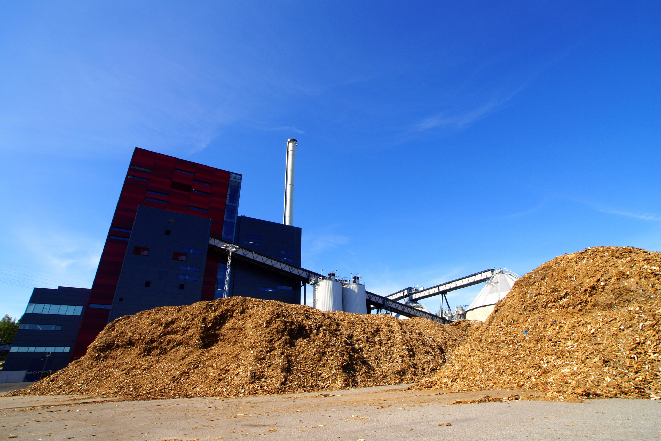Cinzas de caldeira de biomassa industrial: valorização e protocolo