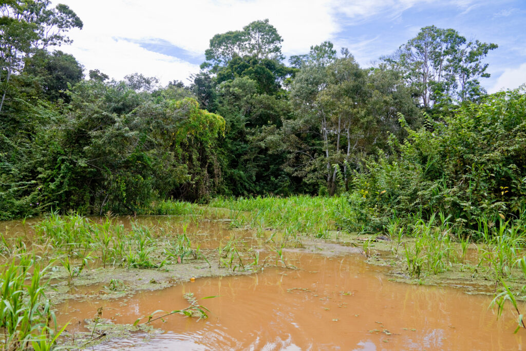 Pós-COP30: o que muda na coleta de resíduos industriais