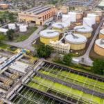 Consultoria ambiental vs gestora: quando contratar cada uma